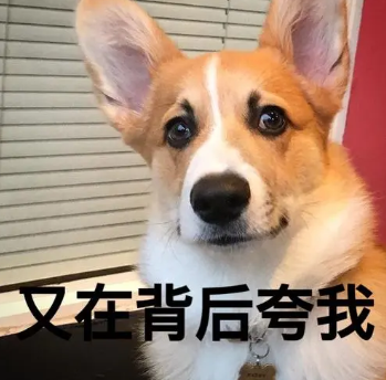 双眼皮手术