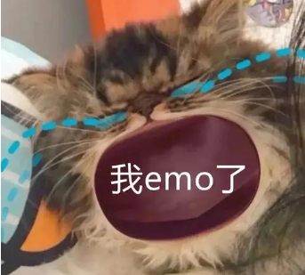 双眼皮手术
