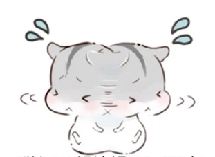 双眼皮手术