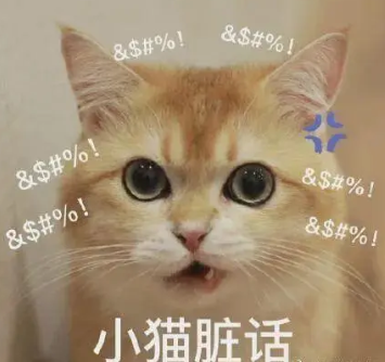 双眼皮
