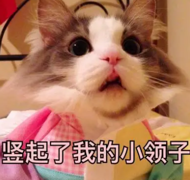 双眼皮手术