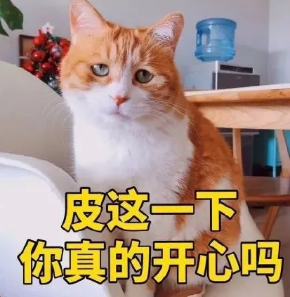 双眼皮手术