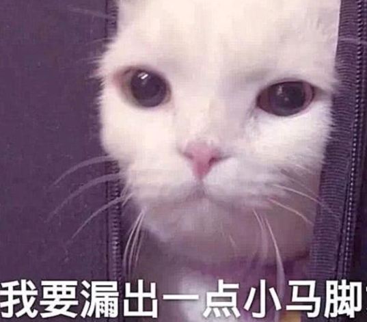 丰泪沟