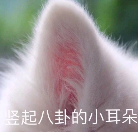 丰泪沟