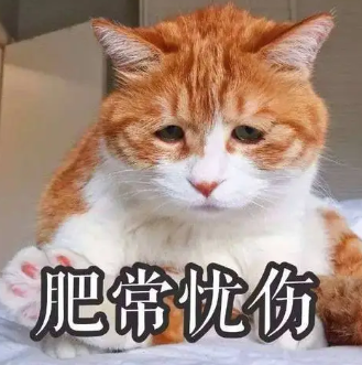 眼袋
