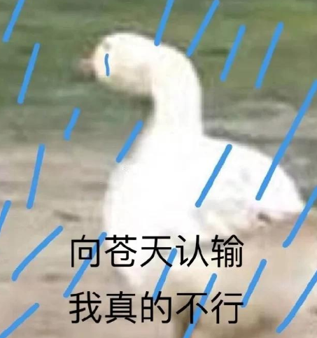 去眼袋手术
