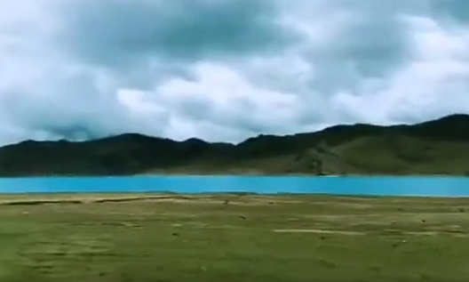 自体脂肪胶