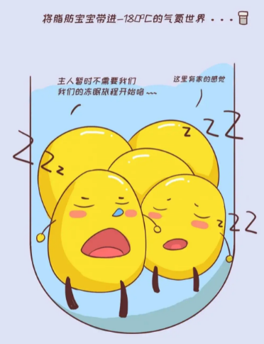 自体脂肪胶