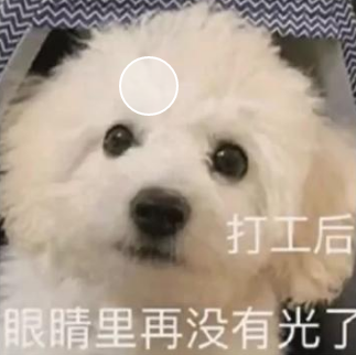 眼袋