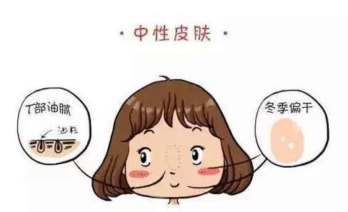 皮肤