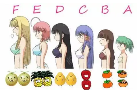 自体脂肪培养丰胸