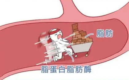 自体脂肪培养丰胸