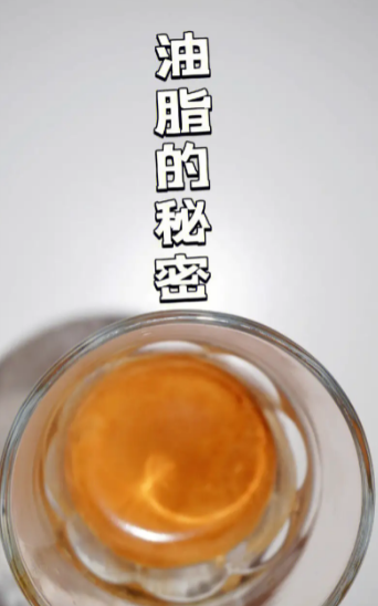 自体脂肪培养丰胸