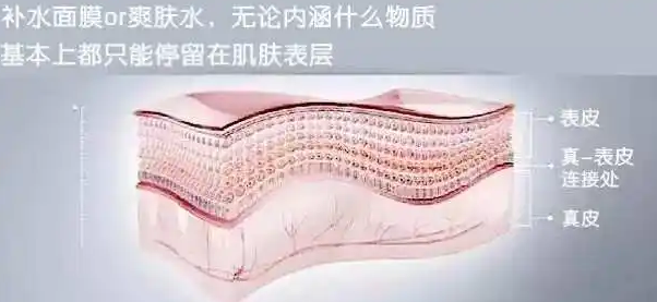 医用面膜