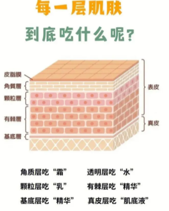 医用面膜