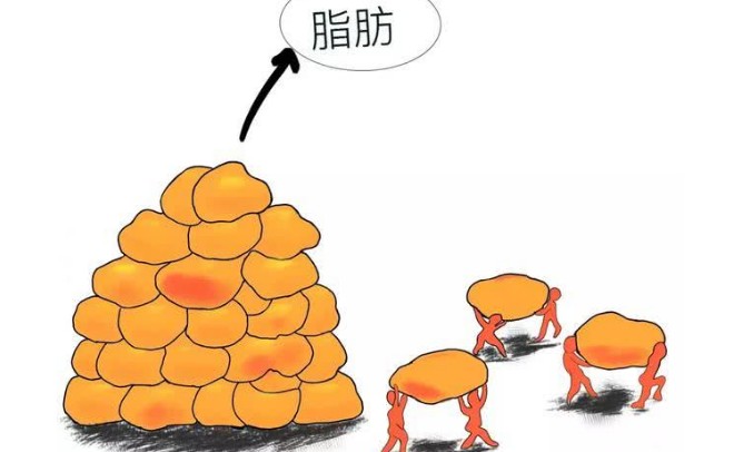 自体脂肪培养丰胸