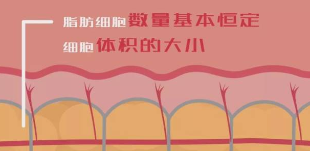 自体脂肪填充