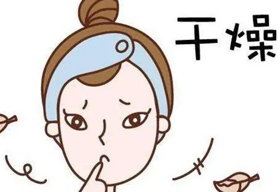 皮肤