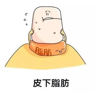自体脂肪胶