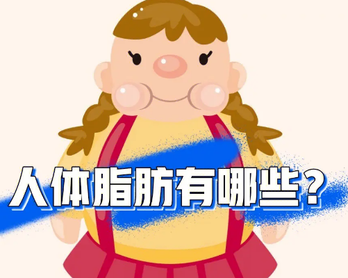 自体脂肪胶