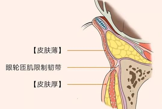 自体脂肪胶