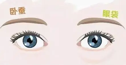 眼袋