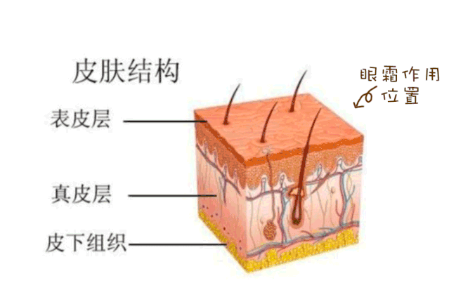 泪沟填充