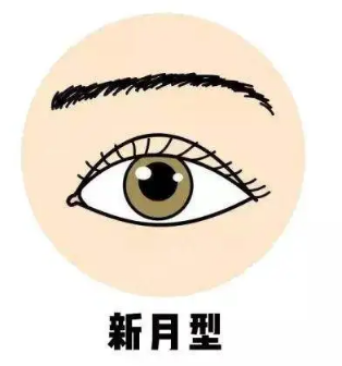 双眼皮