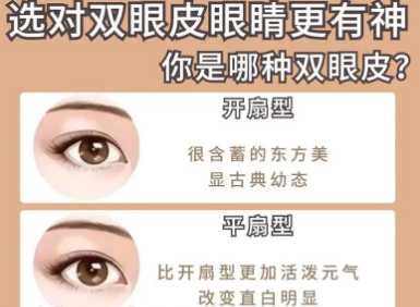 双眼皮