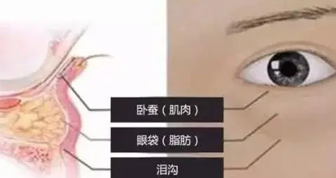 泪沟