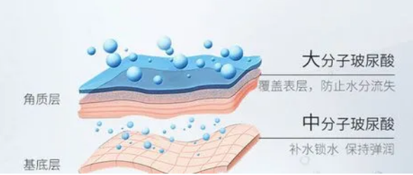 泪沟