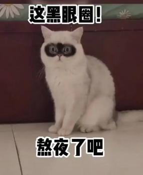 眼袋手术