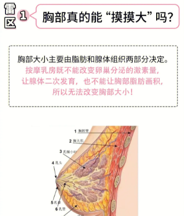 自体脂肪丰胸