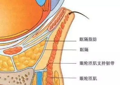 眼袋