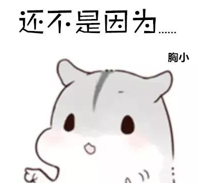 自体脂肪丰胸