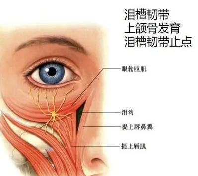 眼袋手术