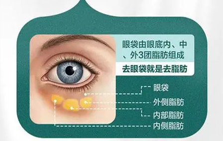 眼袋