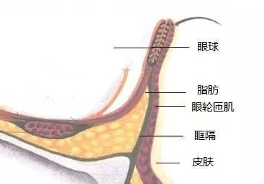 眼袋