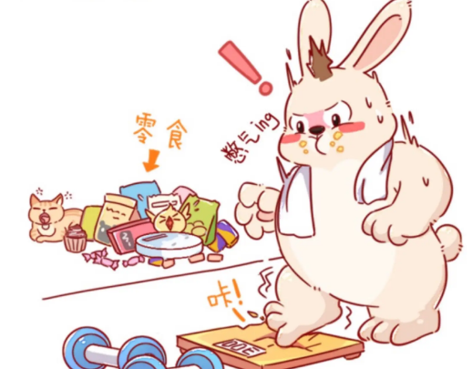 超声波减肥