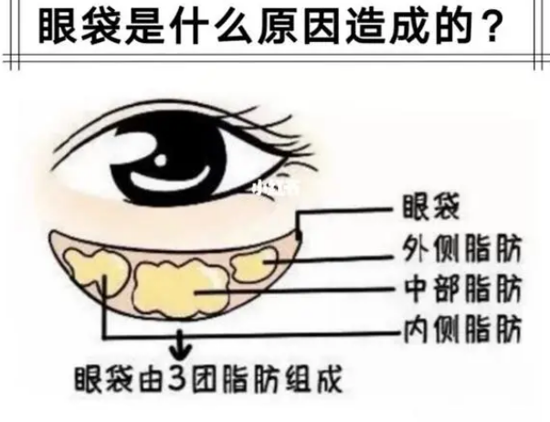 眼袋