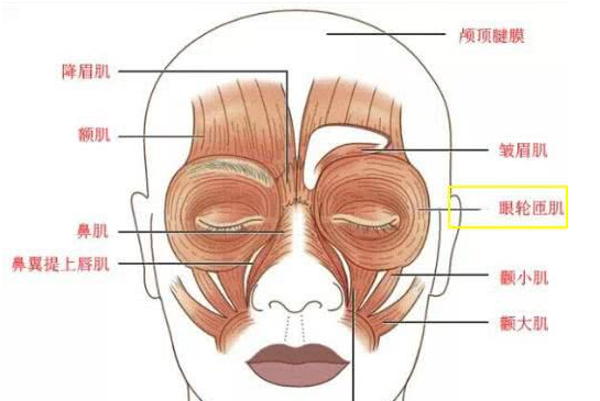 眼袋