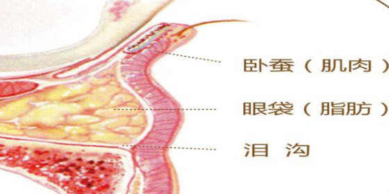 眼袋