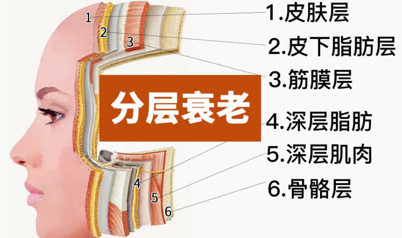 去眼袋手术