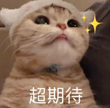 去眼袋手术