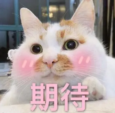 泪沟