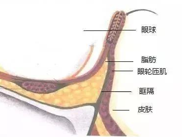 眼袋