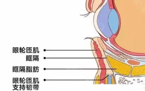 去眼袋手术