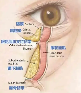 去眼袋手术
