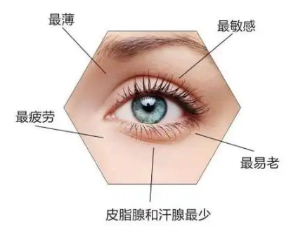 去眼袋手术