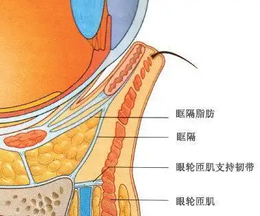 去眼袋手术